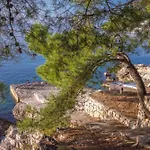 Luxury Oasis By The With Pool Primošten