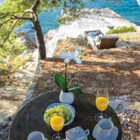Luxury Oasis By The With Pool Primošten